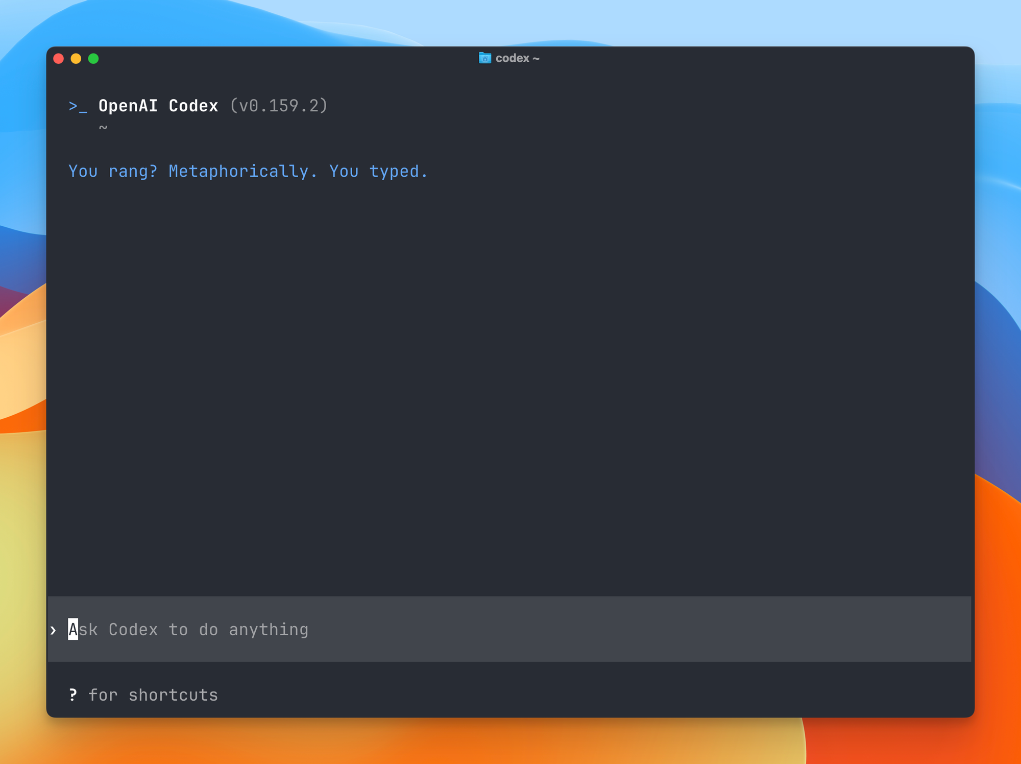 The Codex CLI welcome screen with the version, the current folder, a random greeting and the composer