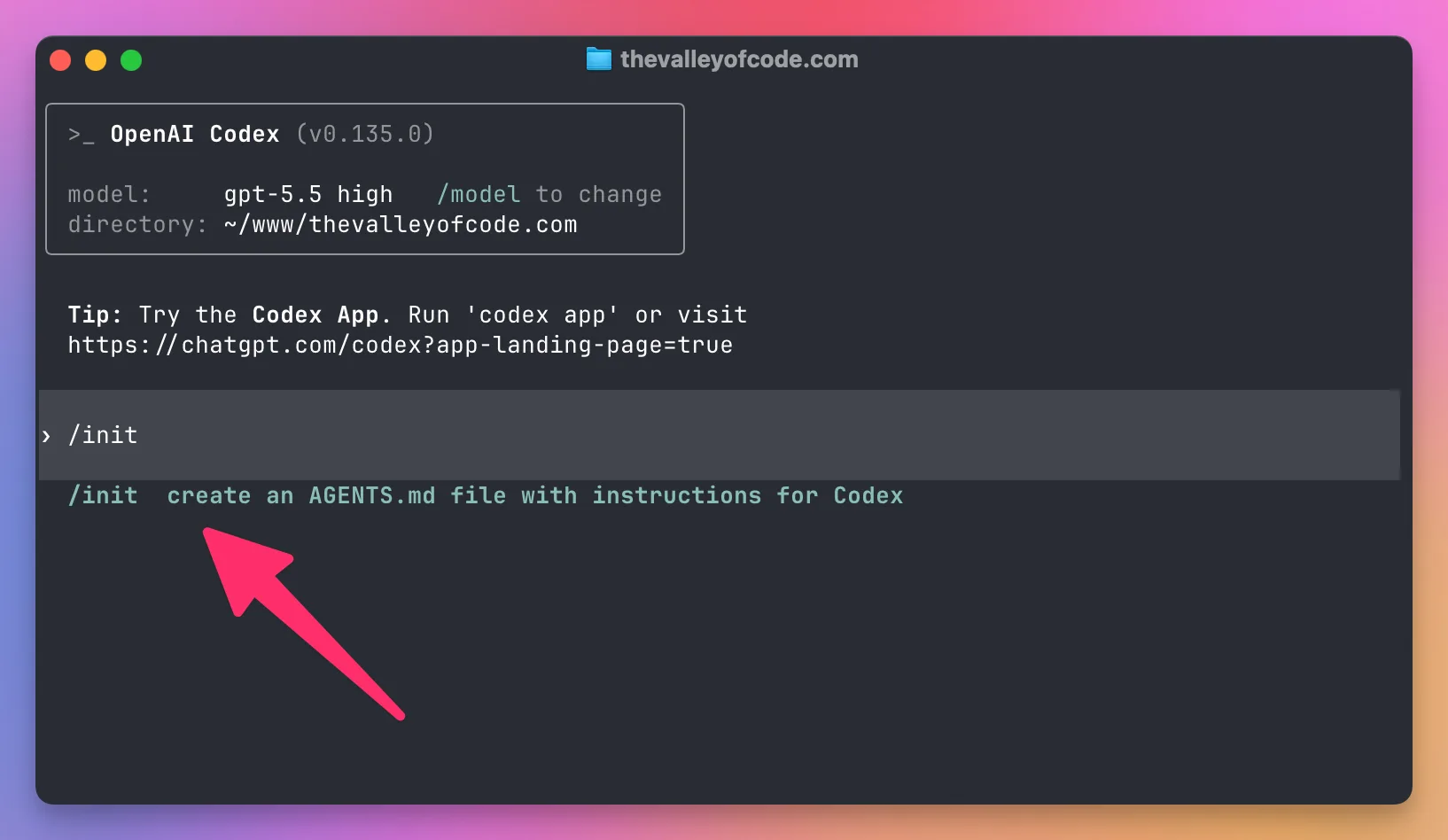 Running the init command in the Codex CLI