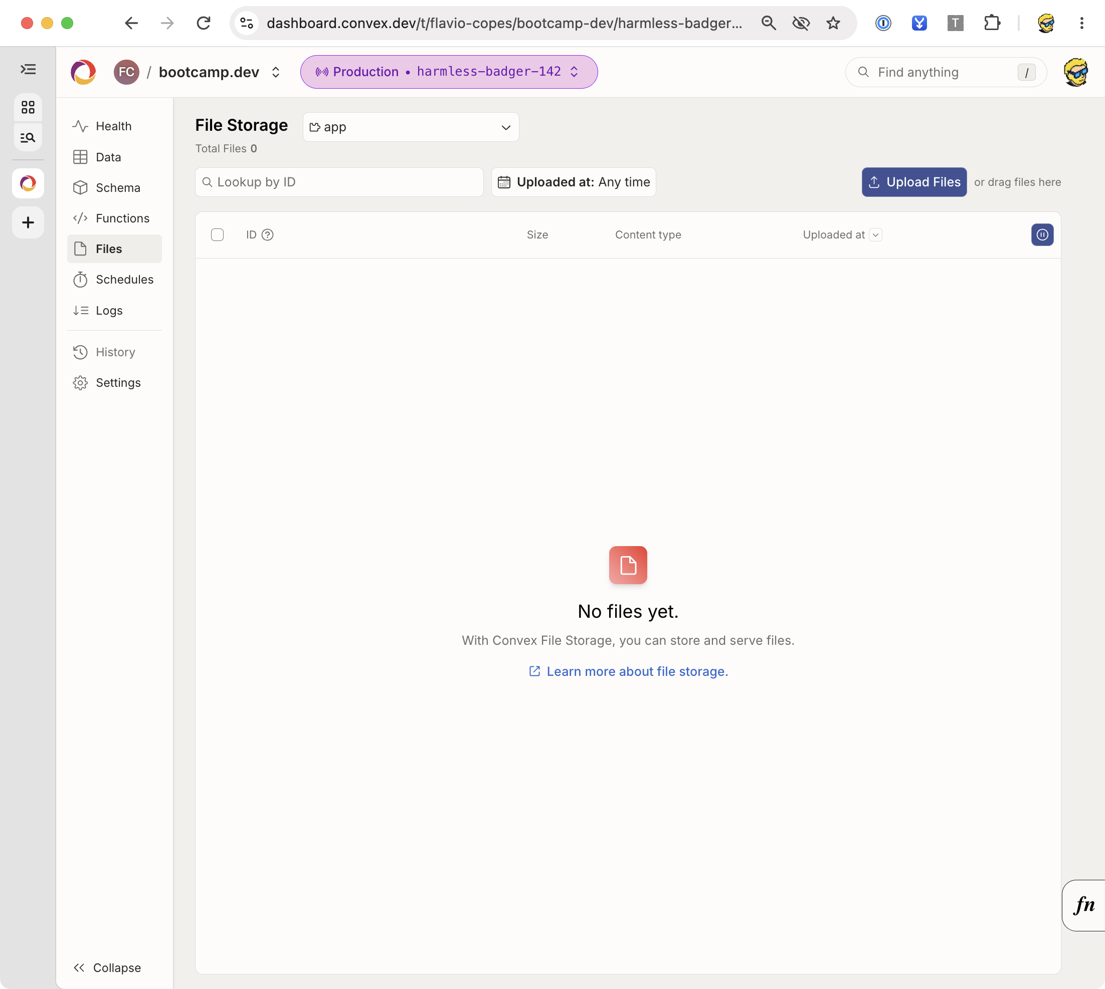 The Convex File Storage panel with no files uploaded