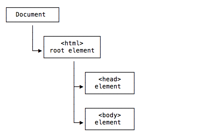 DOM, the body and head tags