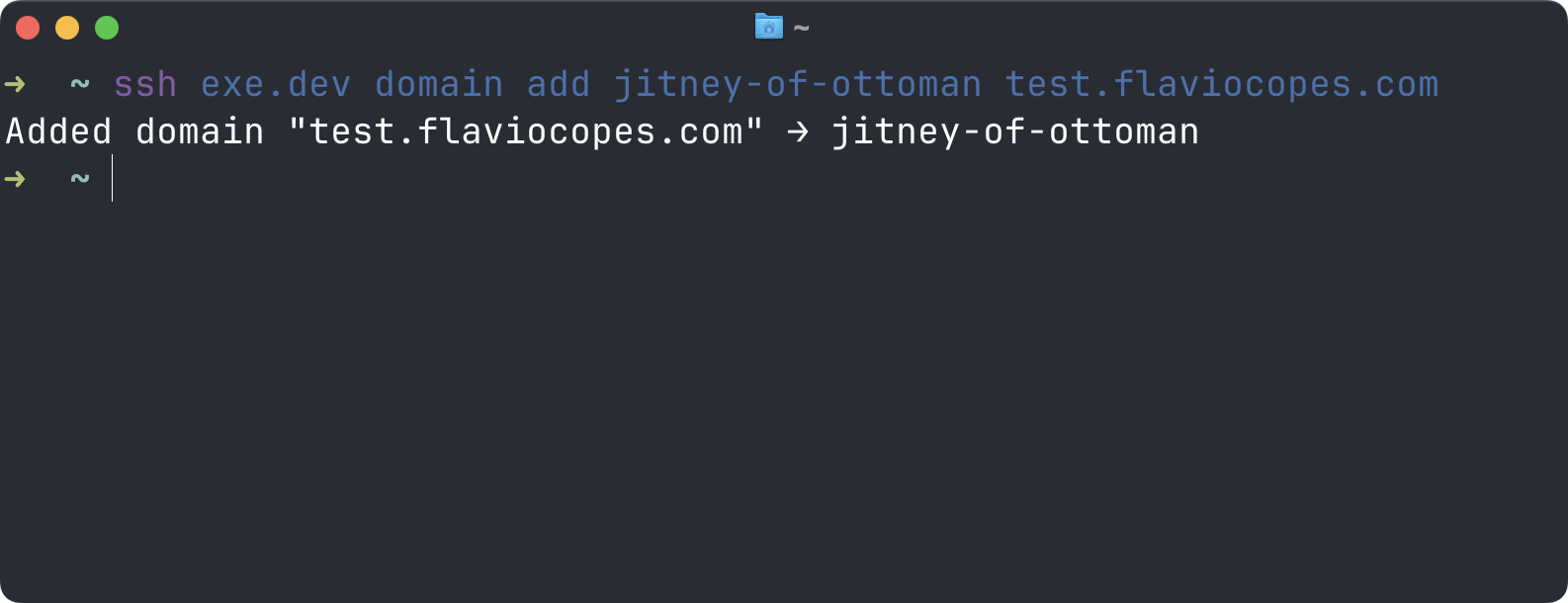 Registering test.flaviocopes.com for the VM with ssh exe.dev domain add
