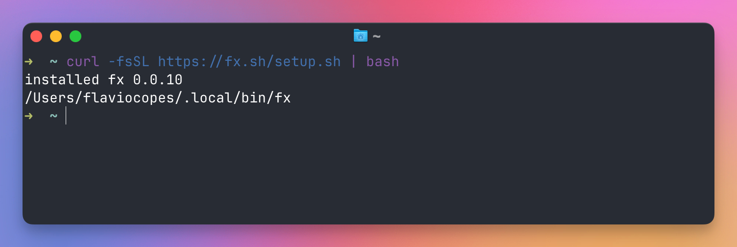 The installer finishing, with fx 0.0.10 in ~/.local/bin
