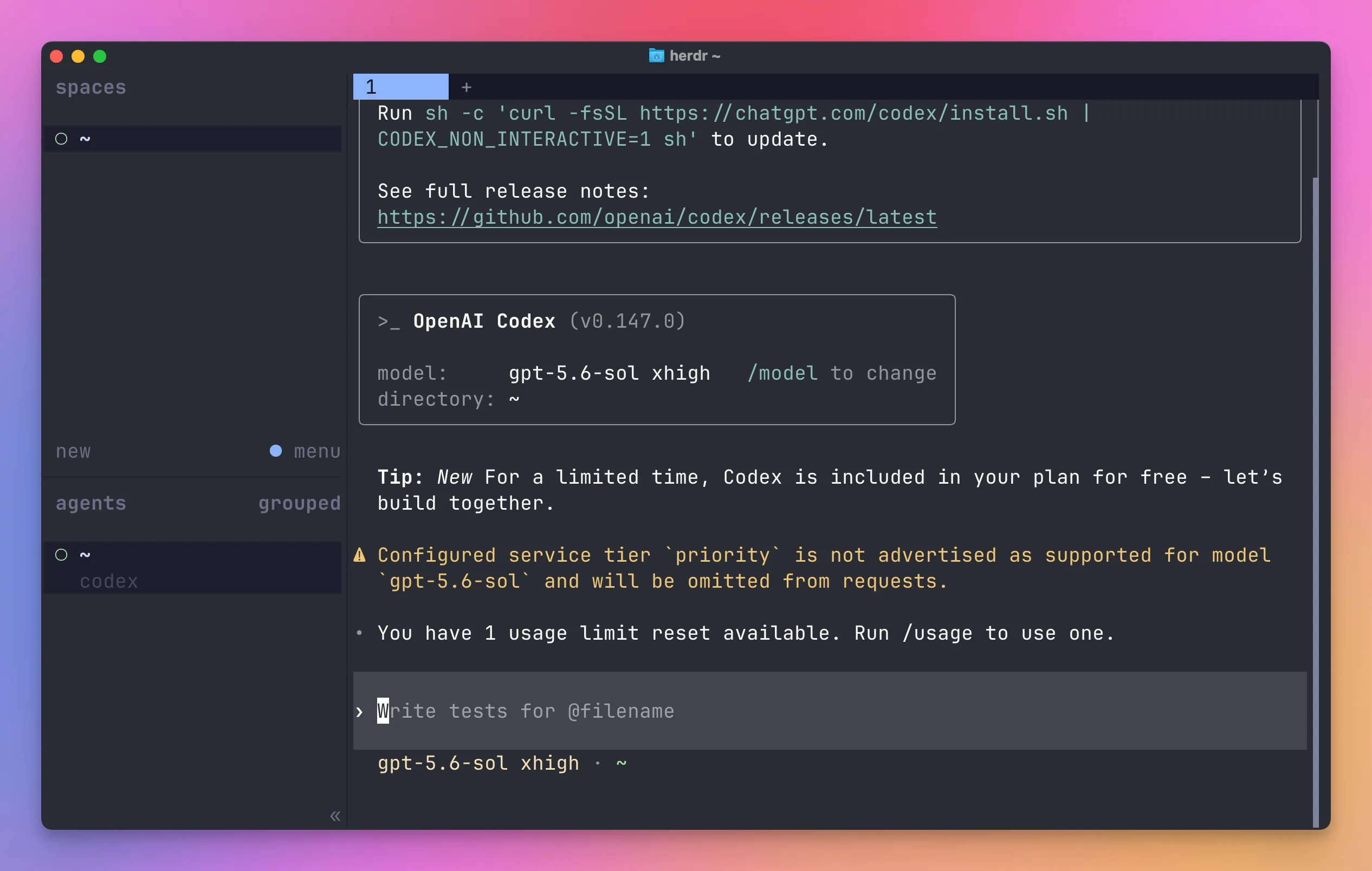 Codex running inside a Herdr pane, with a codex entry listed under agents in the sidebar