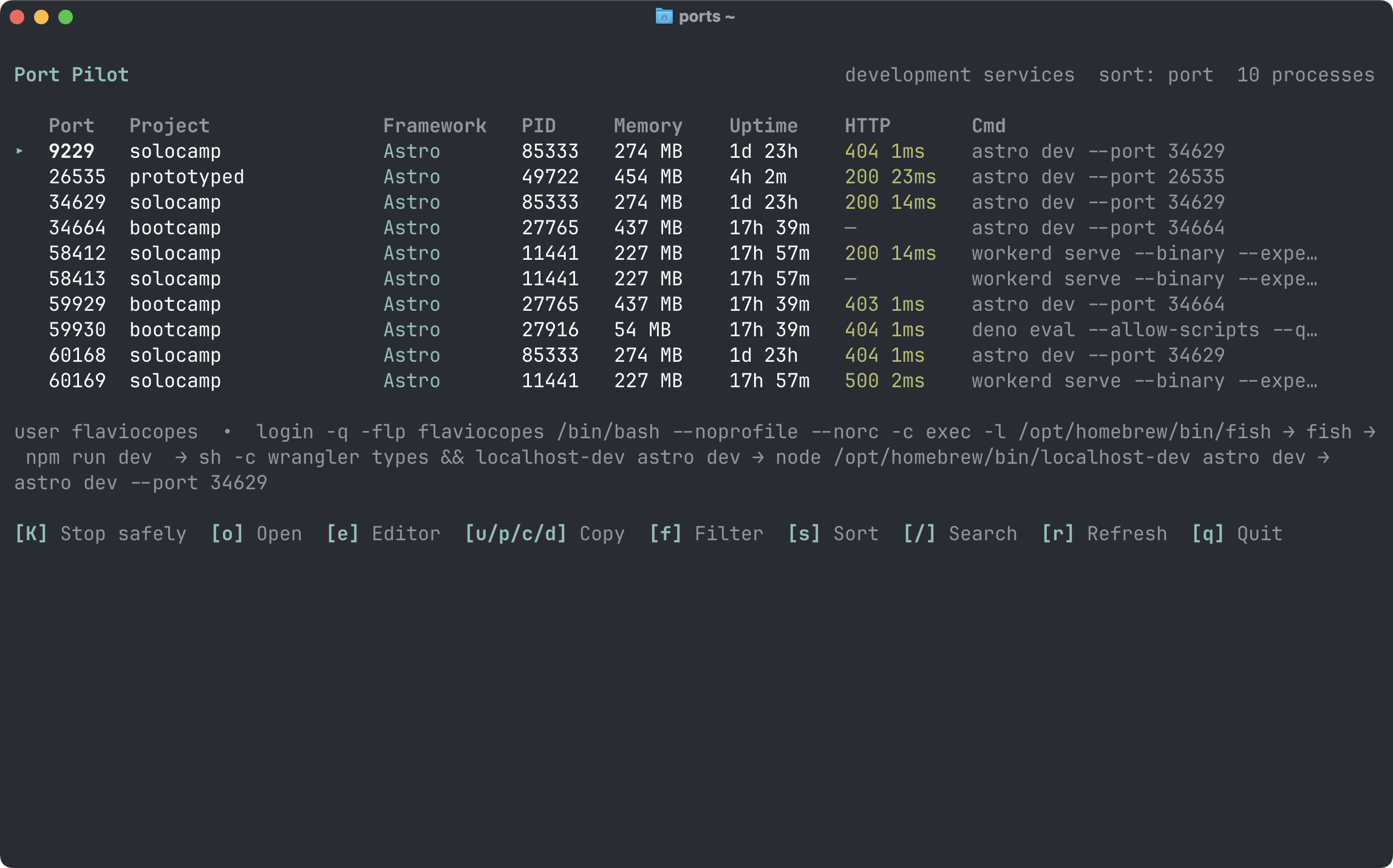 Port Pilot interactive terminal dashboard listing development services with framework, process, memory, uptime, HTTP health, and keyboard actions