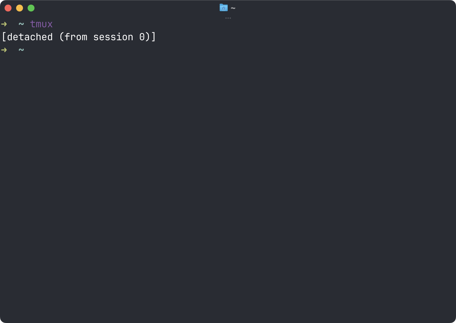 A tmux session detached in the terminal