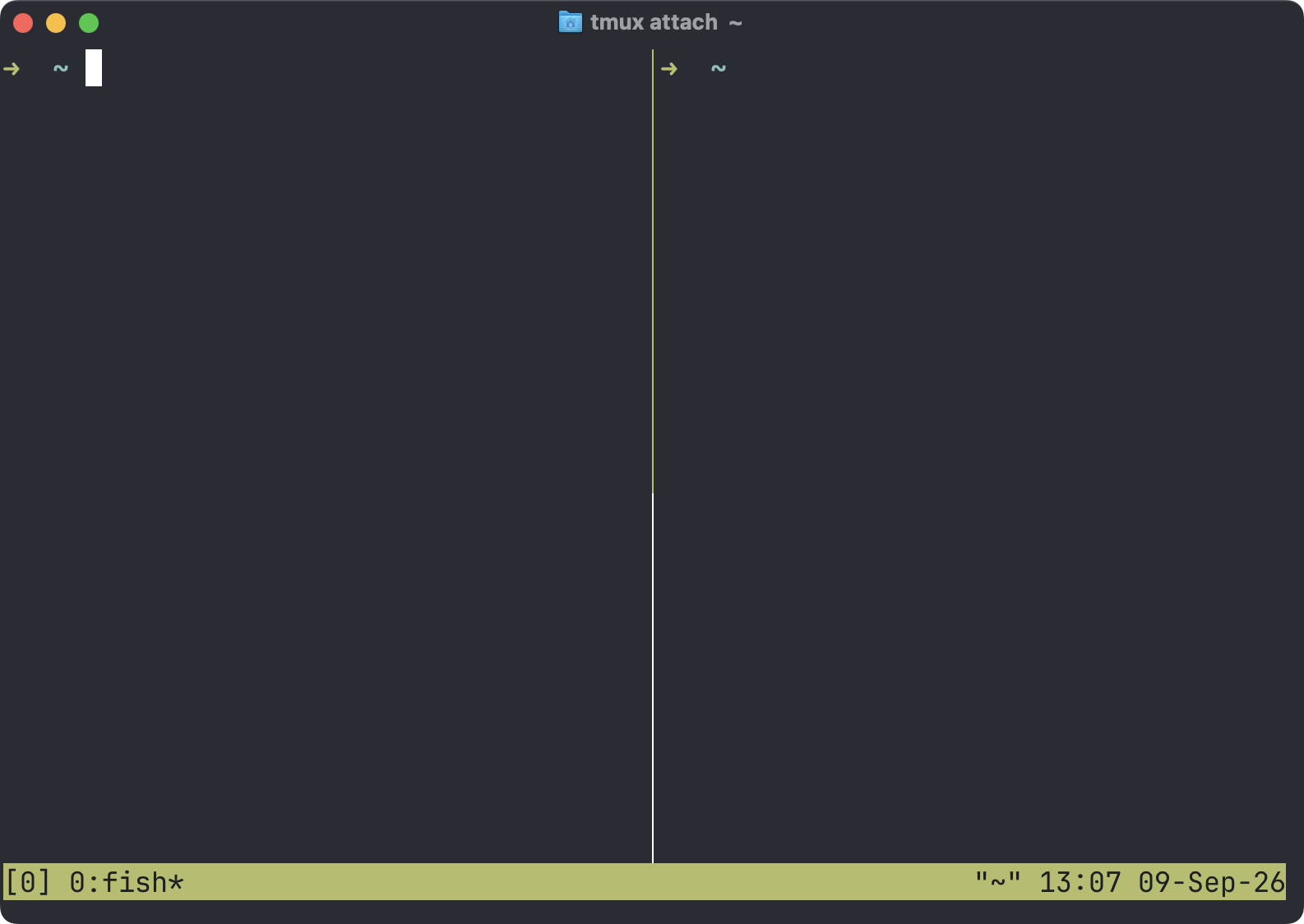 The left tmux pane selected