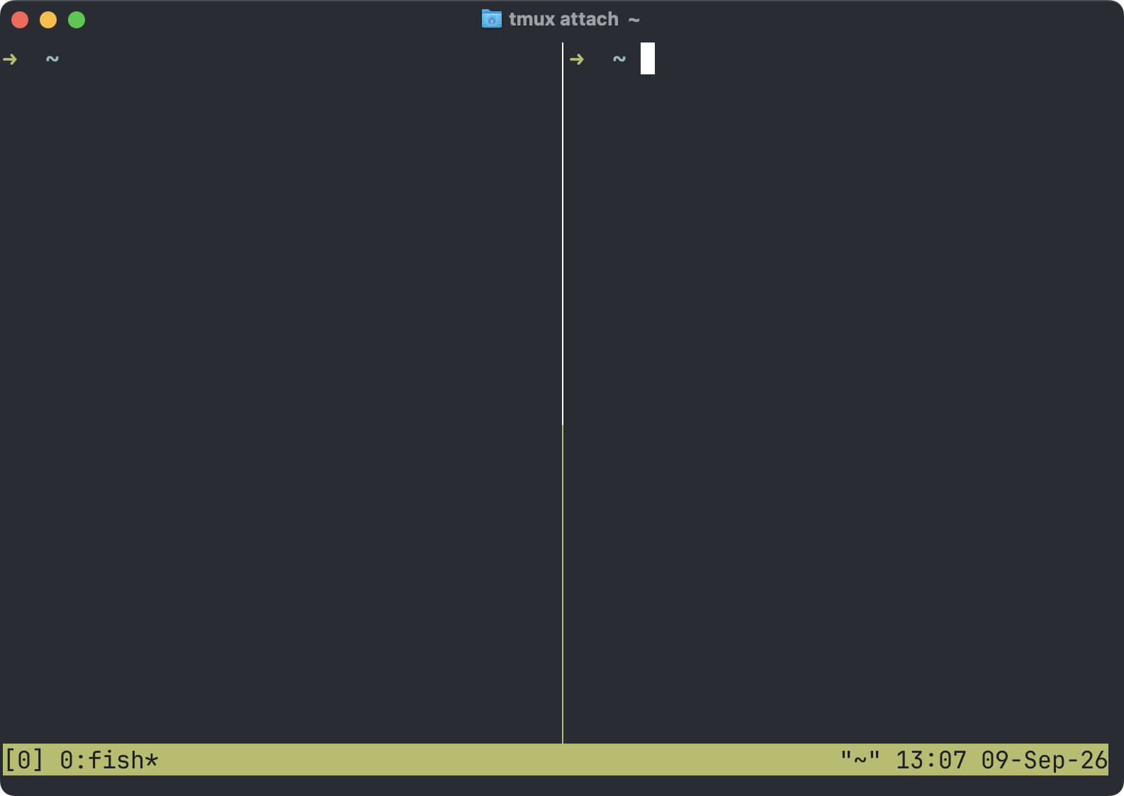 A tmux window split into left and right panes